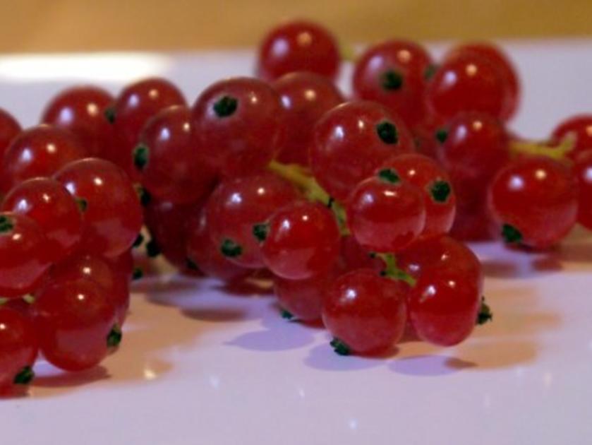 Pudding aus roten Johannisbeeren - Rezept - kochbar.de