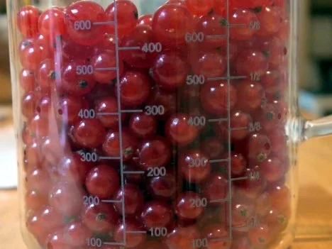 Pudding aus roten Johannisbeeren - Rezept - Bild Nr. 3