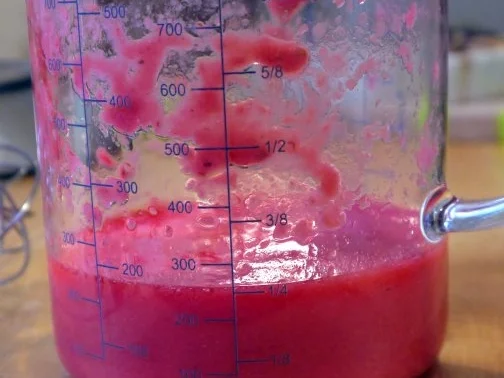 Pudding aus roten Johannisbeeren - Rezept - Bild Nr. 5