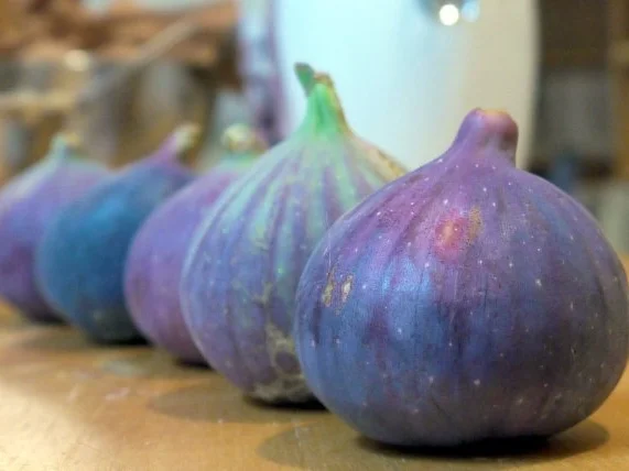 Tarte mit frischen Feigen - Rezept - Bild Nr. 8