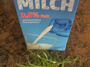 Maiale al latte ...  oder Schweinebraten in Milch - Rezept - Bild Nr. 8