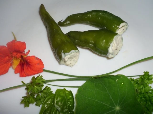 Rezept: Peperonis gefüllt und eingelegt Peperonis gefüllt und eingelegt - Rezept