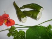 Peperonis gefüllt und eingelegt - Rezept