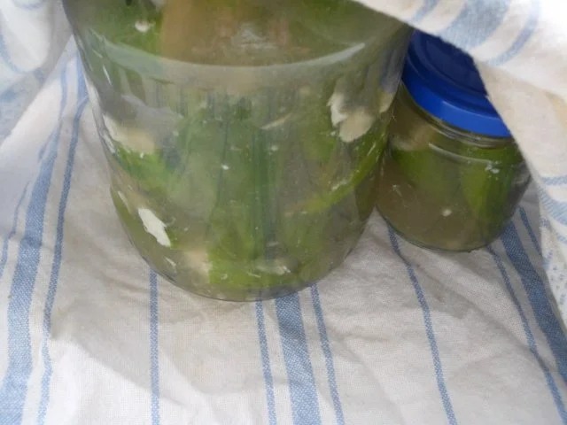 Rezept: Peperonis gefüllt und eingelegt Bild Nr. 10 Peperonis gefüllt und eingelegt - Rezept - Bild Nr. 10