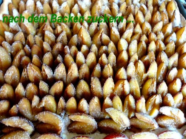 Rezept: Hefe: ZWETSCHGENKUCHEN mit Zucker + Zimt Bild Nr. 6 Hefe: ZWETSCHGENKUCHEN mit Zucker + Zimt - Rezept - Bild Nr. 6