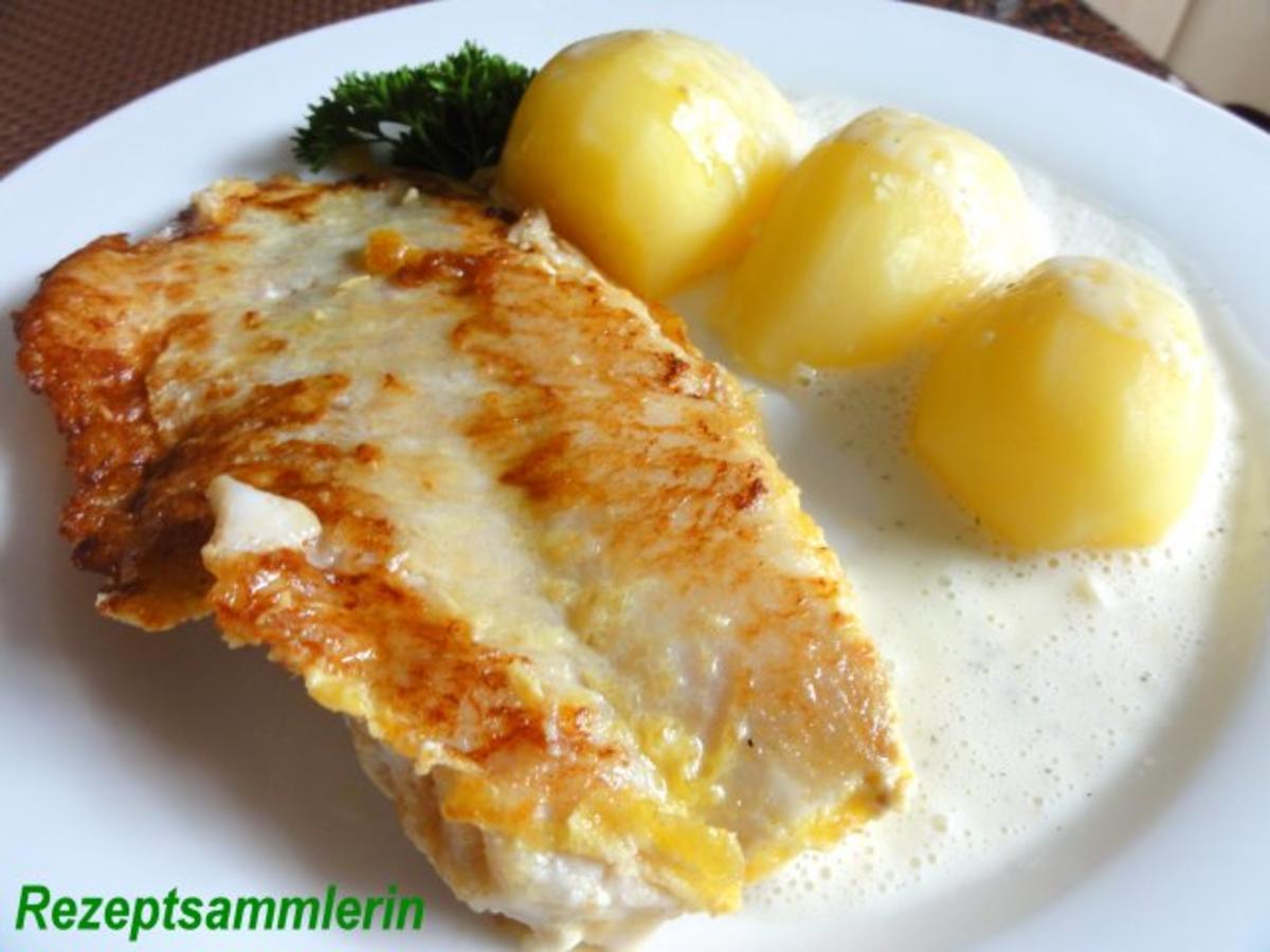 Bilder für Fisch: ROTBARSCHFILET an Weißwein-Sauce - Rezept