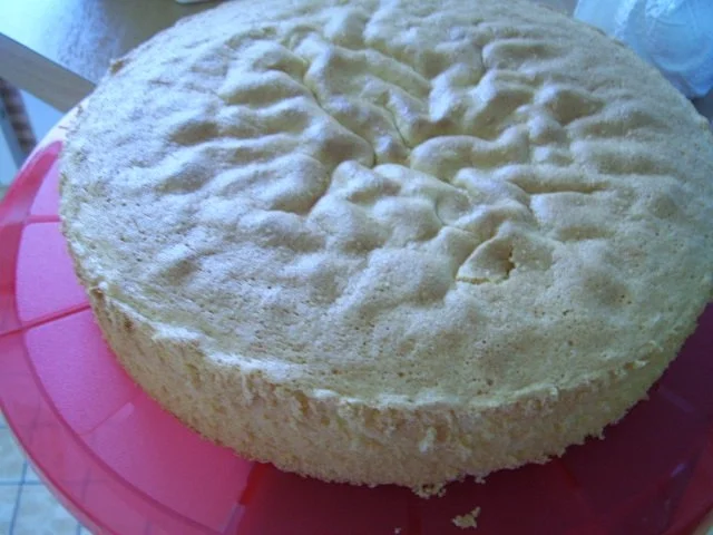 Rezept: Erdbeer-Torte "Dianne" Bild Nr. 2 Erdbeer-Torte "Dianne" - Rezept - Bild Nr. 2