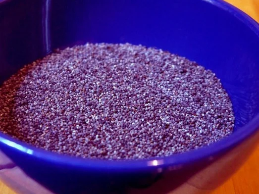 Mohn-Pesto - Rezept - Bild Nr. 2