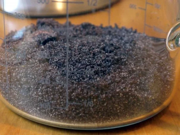 Mohn-Pesto - Rezept - Bild Nr. 3