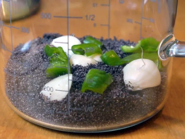 Mohn-Pesto - Rezept - Bild Nr. 5