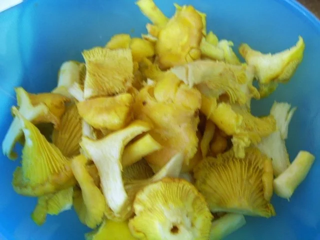 Rezept: Pilzragout Bild Nr. 2 Pilzragout - Rezept - Bild Nr. 2