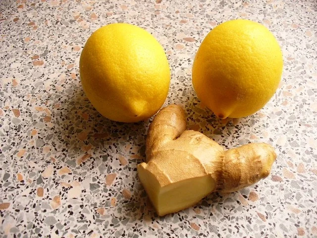 Rezept: Gefüllte Putenbrustroulade Bild Nr. 15 Gefüllte Putenbrustroulade - Rezept - Bild Nr. 15