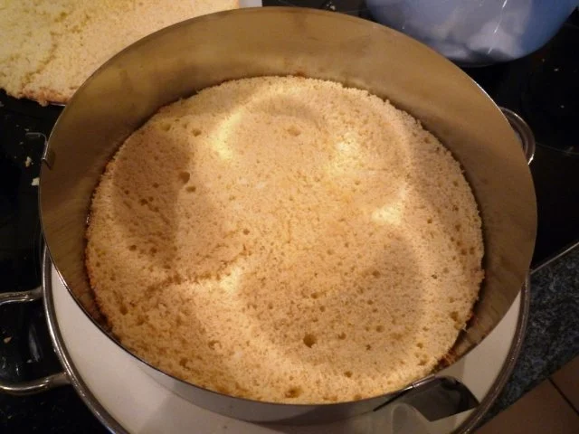 Rezept: Tiramisu-Torte Bild Nr. 10 Tiramisu-Torte - Rezept - Bild Nr. 10