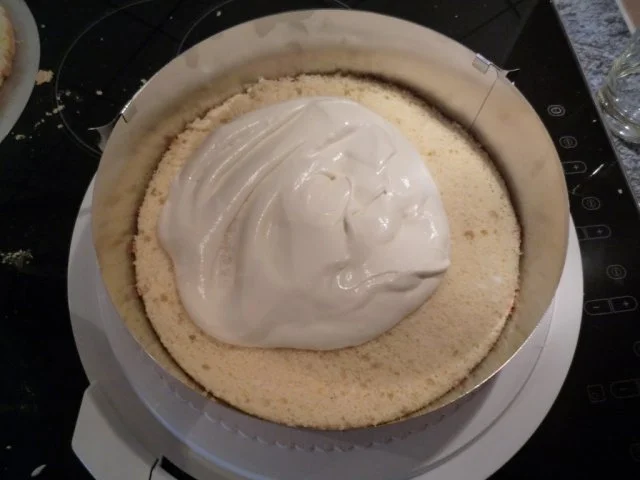 Rezept: Tiramisu-Torte Bild Nr. 14 Tiramisu-Torte - Rezept - Bild Nr. 14