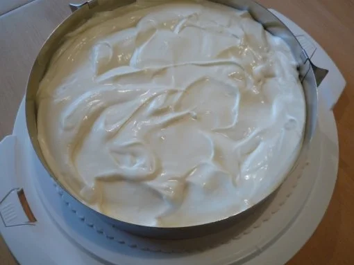 Rezept: Tiramisu-Torte Bild Nr. 17 Tiramisu-Torte - Rezept - Bild Nr. 17