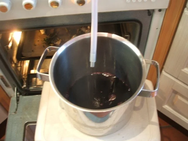 Vorrat: Holunder - ein wahrer Freund - Rezept - Bild Nr. 4