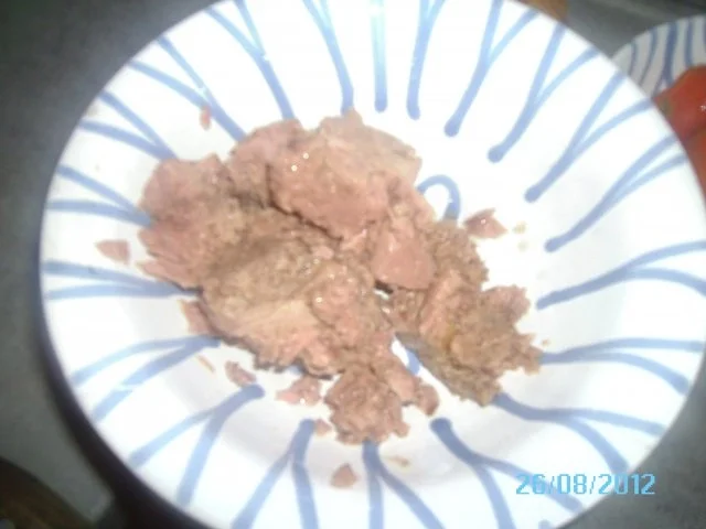 JAUSE: Thunfischaufstrich - Rezept - Bild Nr. 2