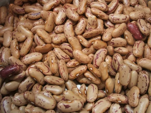 Fleisch: "Bauch mit Bohnakern und Fränkische Klöß´" - Rezept - Bild Nr. 3