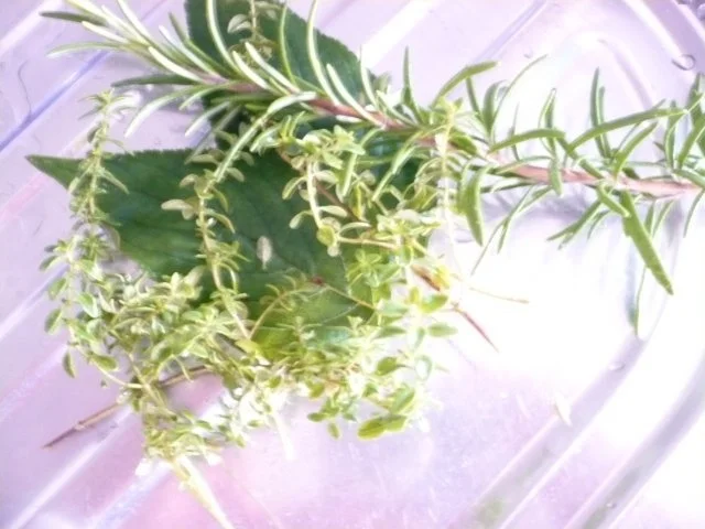 Rezept: Schweinefilet mit frischen Pfifferlingen Bild Nr. 3 Schweinefilet mit frischen Pfifferlingen - Rezept - Bild Nr. 3