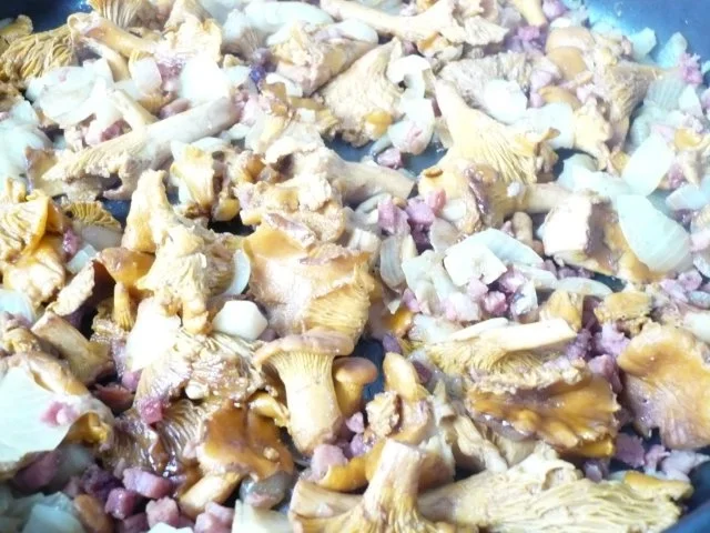 Rezept: Schweinefilet mit frischen Pfifferlingen Bild Nr. 6 Schweinefilet mit frischen Pfifferlingen - Rezept - Bild Nr. 6