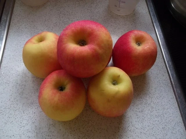 Holunderbeer-Apfelgelee - Rezept - Bild Nr. 3