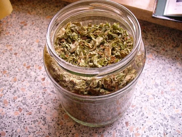 Paprikaschoten (raffiniert gefüllt) - Rezept - Bild Nr. 13