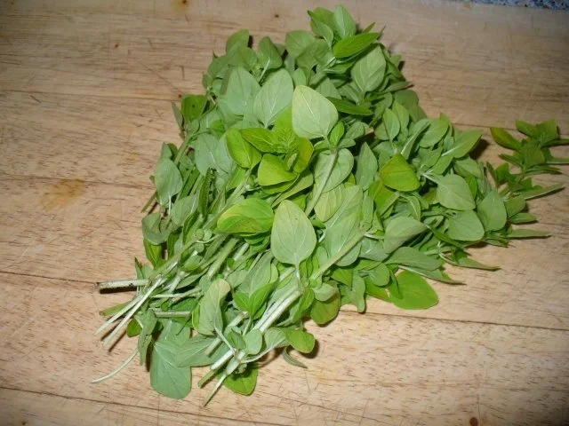 Paprikaschoten (raffiniert gefüllt) - Rezept - Bild Nr. 7