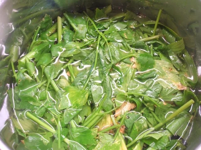 Vorrat: Magie - nein, keine Zauberei, nur ein Würzmittel - Rezept - Bild Nr. 4