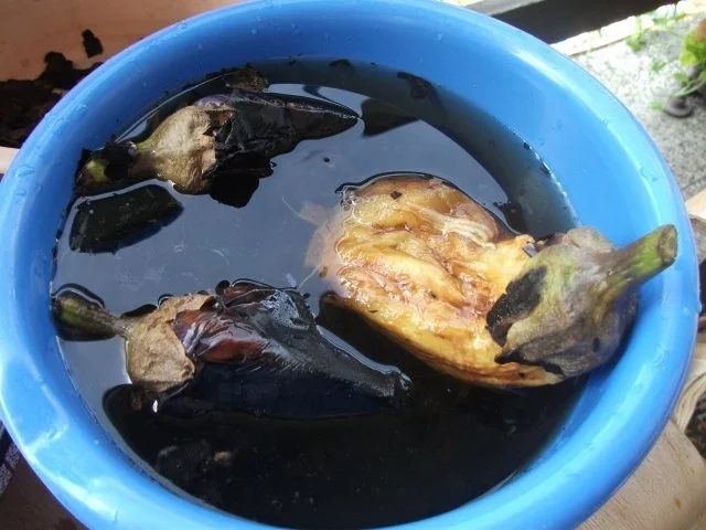 Gebratene Auberginen - Rezept - Bild Nr. 5