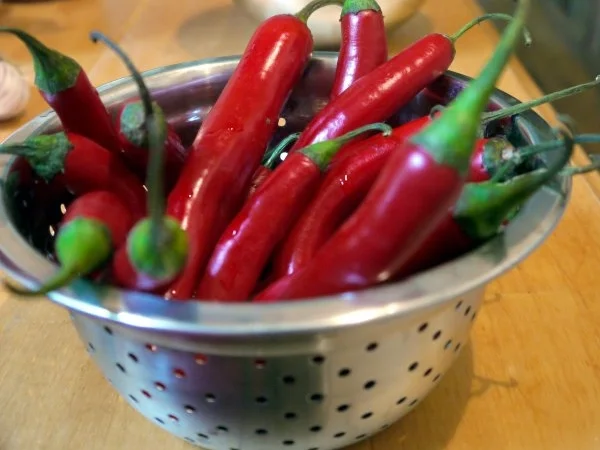 Sweet Chili Sauce - Rezept - Bild Nr. 2