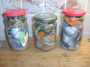 Eingelegter Grüner Hering - Rezept