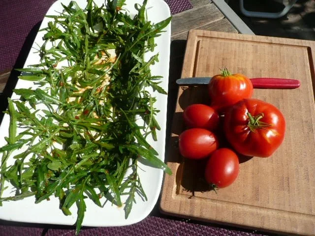 SALAT /TOMATEN mit Thunfischcarpaccio & Mozzarella - Rezept - Bild Nr. 5