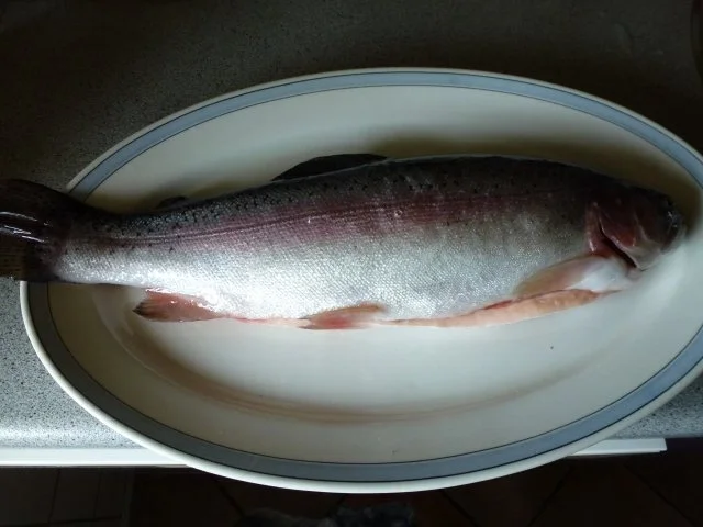 Zitronen-Kräuterforelle mit Weintraubensauce - Rezept - Bild Nr. 3