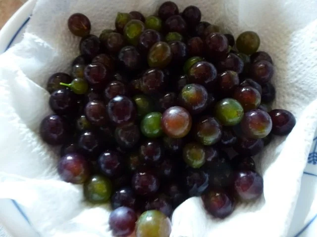 Zitronen-Kräuterforelle mit Weintraubensauce - Rezept - Bild Nr. 7