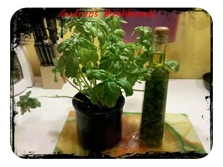 Öl: Basilikumöl â la Gudrun - Rezept - Bild Nr. 3