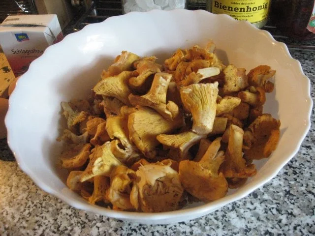 Rezept: Pfifferlings-Gratin Bild Nr. 5 Pfifferlings-Gratin - Rezept - Bild Nr. 5