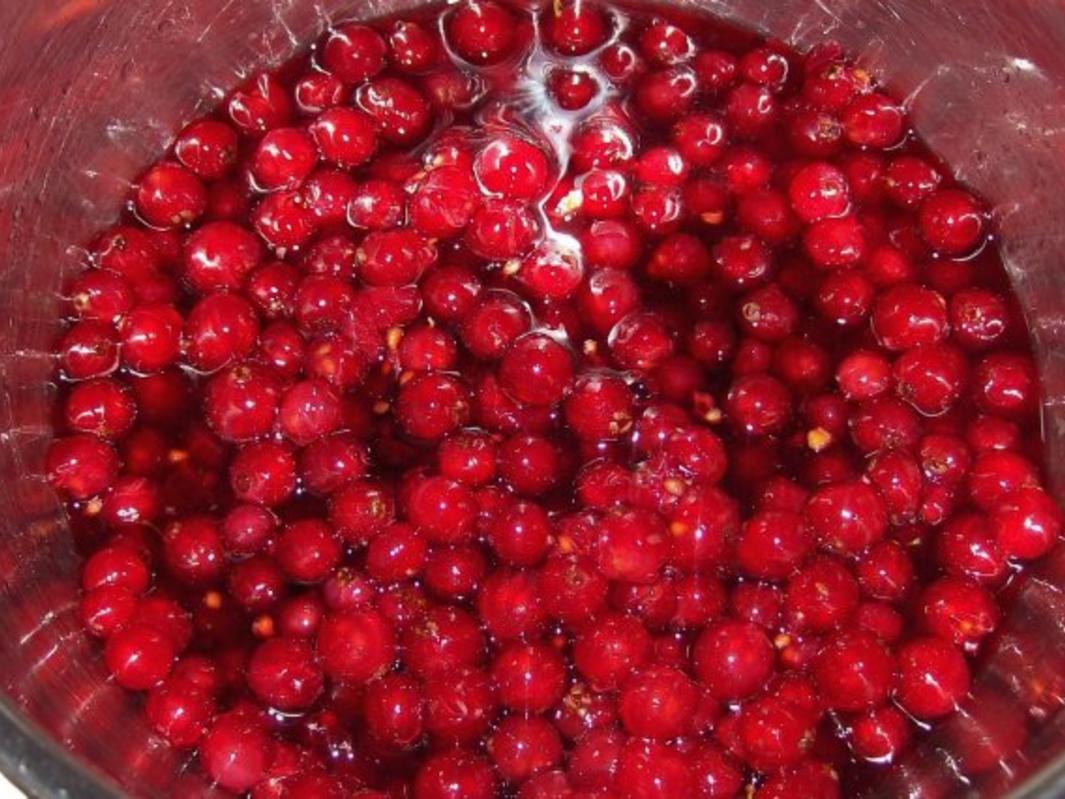 Fruchtiger Johannisbeer Quark Kuchen mit Karamellboden - einfach - 153 ...