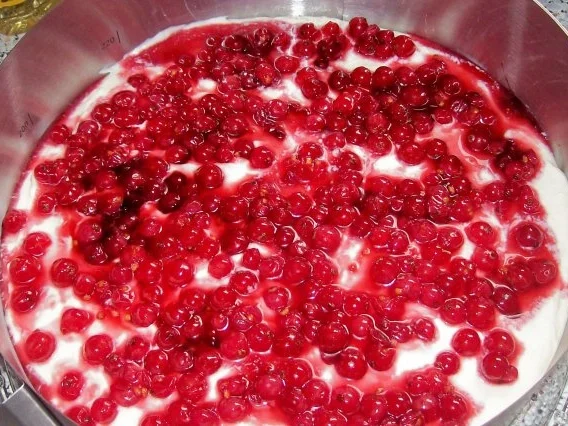 Fruchtiger Johannisbeer-Quark-Kuchen mit Karamellboden - Rezept - Bild Nr. 9