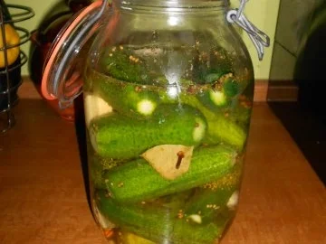 Rezept: Salzgurken allla Anett Salzgurken allla Anett - Rezept