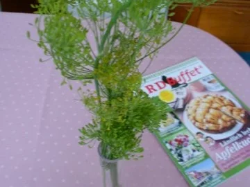 Rezept: Salzgurken allla Anett Bild Nr. 2 Salzgurken allla Anett - Rezept - Bild Nr. 2