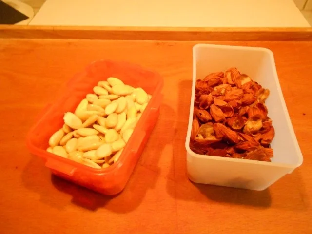 Honig-Marzipan - Rezept - Bild Nr. 6