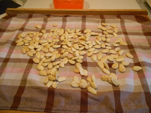 Honig-Marzipan - Rezept - Bild Nr. 7