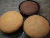 Rezept: Backen: 3 x Biskuit für kleine Törtchen Backen: 3 x Biskuit für kleine Törtchen - Rezept