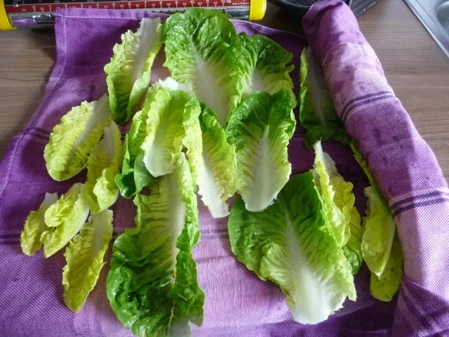 Rezept: Resteverwertung : ...meiner Gemüse-Tomatensoße Bild Nr. 6 Resteverwertung : ...meiner Gemüse-Tomatensoße - Rezept - Bild Nr. 6