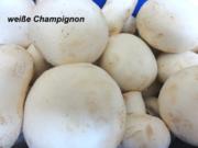 Diverses:    CHAMPIGNON & CO. haben Saison - Rezept