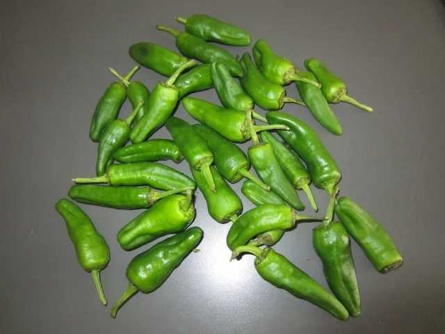 Rezept: Pimientos de Padrón Bild Nr. 2 Pimientos de Padrón - Rezept - Bild Nr. 2