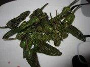 Pimientos de Padrón - Rezept
