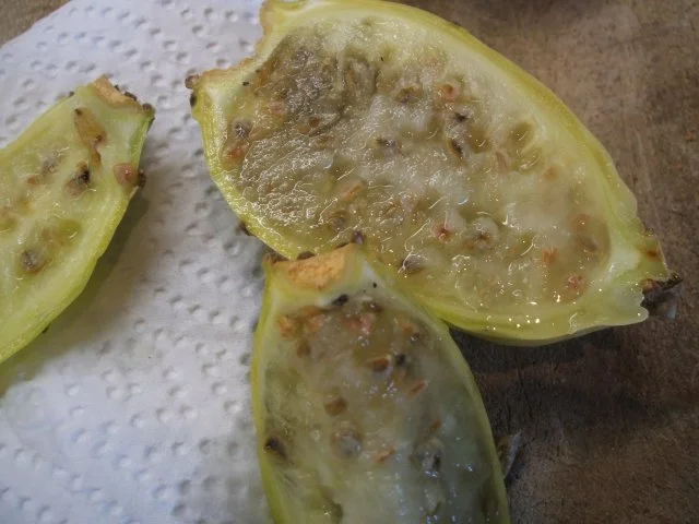 Dessert: "Café Latte" mit Kaktusfeigensoße - Rezept - Bild Nr. 3