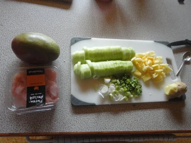 feuriger Asia-Puten-Schmorgurken Teller - Rezept - Bild Nr. 2