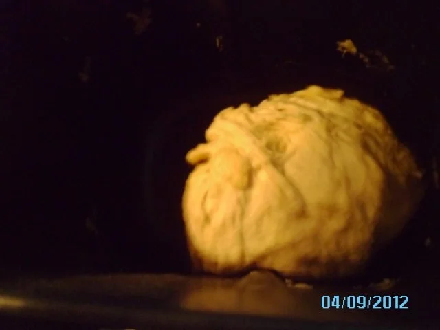 Calzone (mit Pilzen, Salami und Schinken) - Rezept - Bild Nr. 8